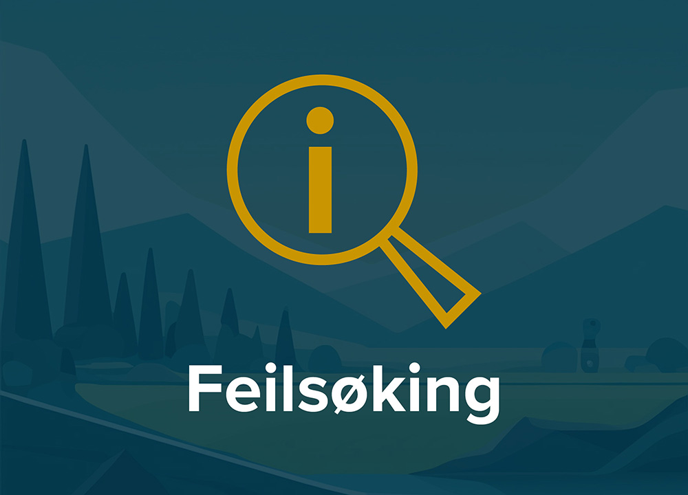 feilsøking